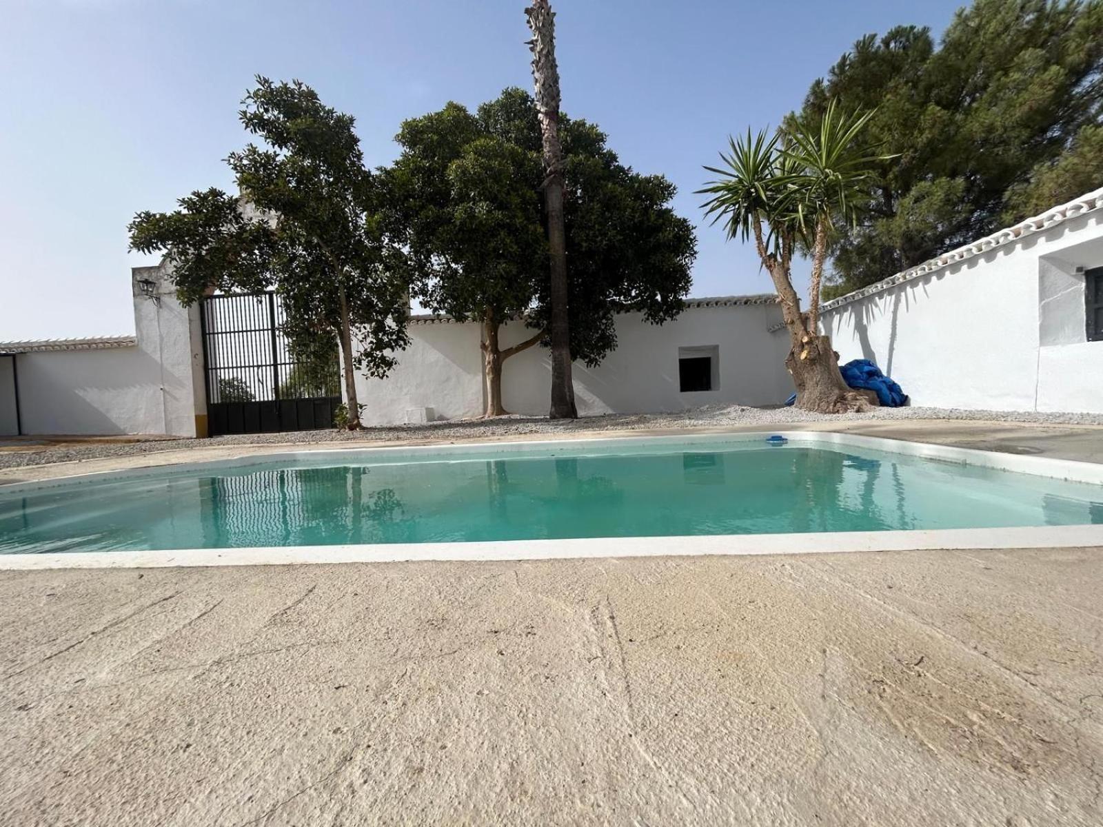 Cortijo Donana Villa ลาปวยบลา เด กาซาญา ภายนอก รูปภาพ